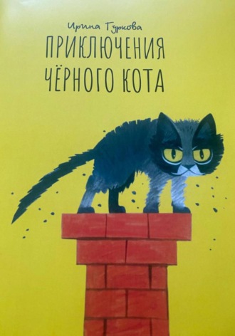 Приключения Чёрного кота. Ирина Васильевна Гуркова