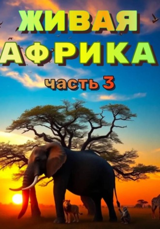 Наталья Баркар. 