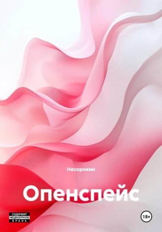  Несорокин. Опенспейс