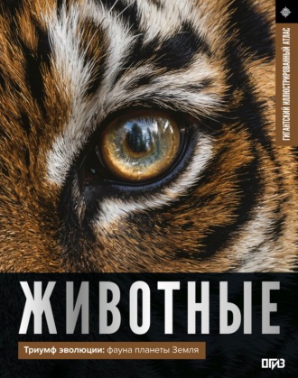 Животные. Иллюстрированный атлас. Д. Ю. Медведев