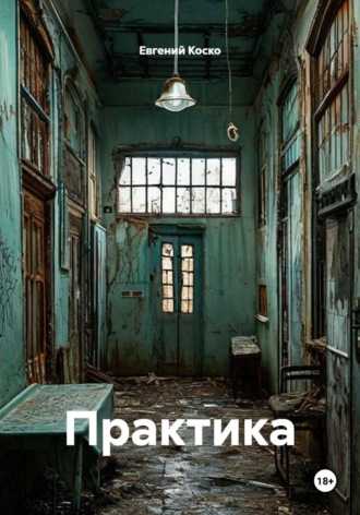 Практика. Евгений Коско