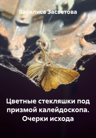 Цветные стекляшки под призмой калейдоскопа. Очерки исхода. Василиса Засветова