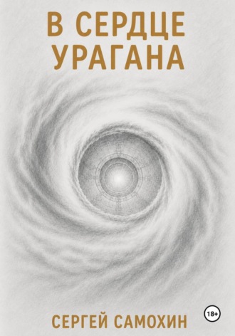 В сердце урагана. Сергей Самохин