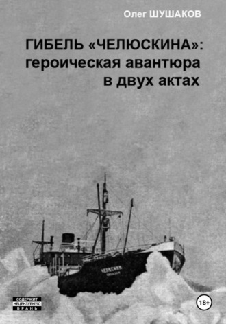Олег Шушаков. Гибель 