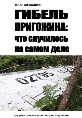 Олег Шушаков. Гибель Пригожина: что случилось на самом деле