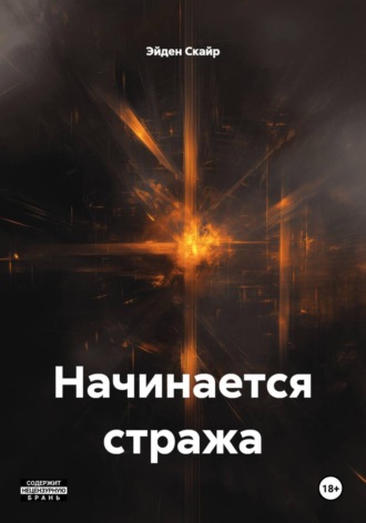 Эйден Скайр. Начинается стража