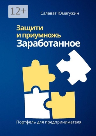 Салават Юмагужин. Защити и приумножь заработанное. Портфель предпринимателя