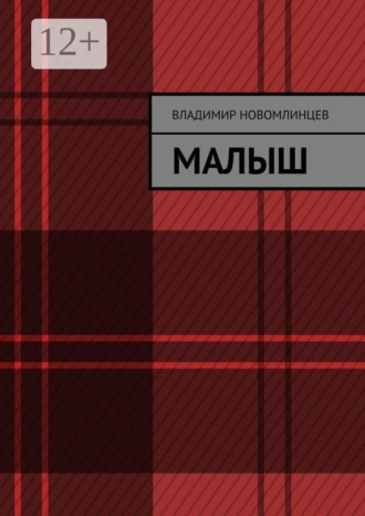 Владимир Иванович Новомлинцев. Малыш