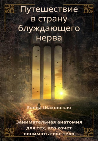 Путешествие в страну блуждающего нерва. 