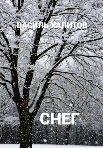 Василь Халитов. Снег