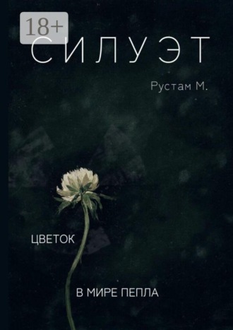 Силуэт. Цветок в мире пепла. Рустам Магомедов