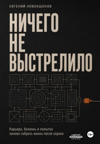 Человек внутри системы. Евгений Новокшонов