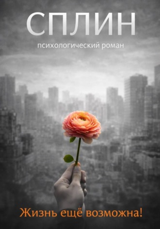 Алексей Немчиков. Сплин