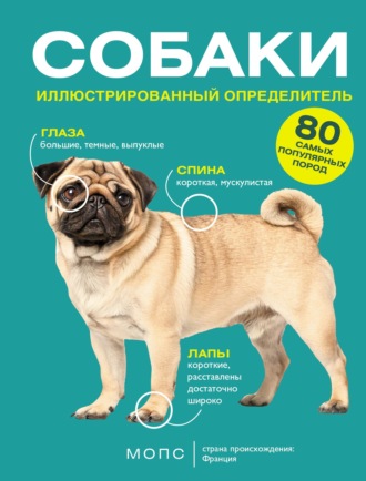 Л. Д. Вайткене. Собаки. 80 самых популярных пород. Иллюстрированный определитель
