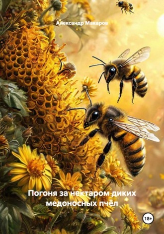 Александр Макаров. Погоня за нектаром диких медоносных пчёл