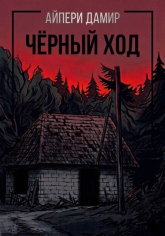Чёрный ход. Айпери Дамир