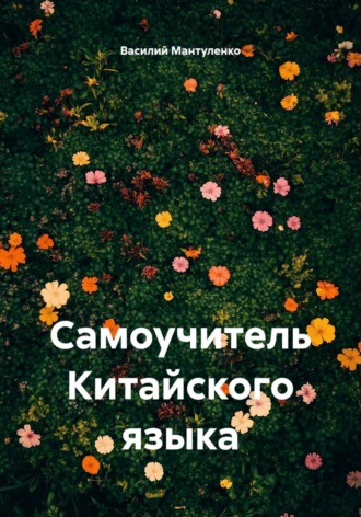 Василий Мантуленко. Самоучитель Китайского языка