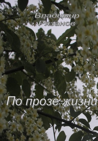 По прозе жизни. Владимир Рязанов
