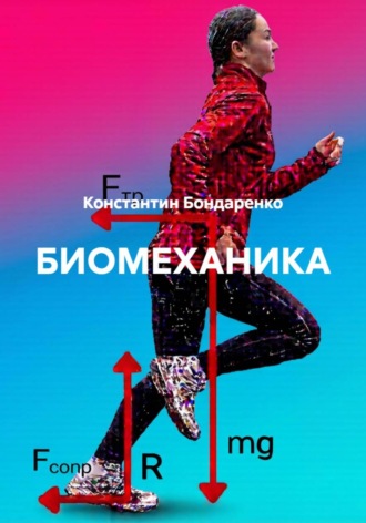 Биомеханика. Константин Константинович Бондаренко