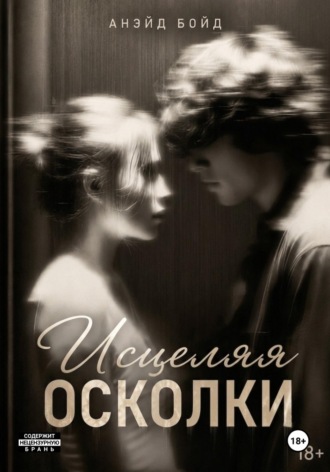 Исцеляя осколки. Анэйд Бойд