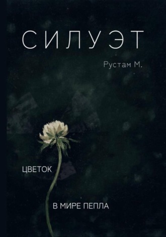 Рустам М.. Силуэт