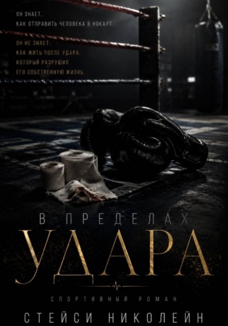 В пределах удара. Стейси Николейн