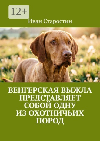 Иван Старостин. Венгерская выжла представляет собой одну из охотничьих пород