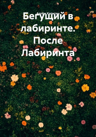 Артём Капитан. Бегущий в лабиринте. После Лабиринта