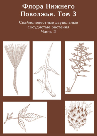 Коллектив авторов. Флора Нижнего Поволжья. Том 3. Часть 2. Спайнолепестные двудольные сосудистые растения (Asteraceae). Дополнения к предыдущим томам