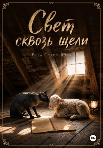 Вера Стрельцова. Свет сквозь щели