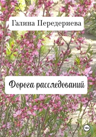 Галина Анатольевна Передериева. Дорога расследований