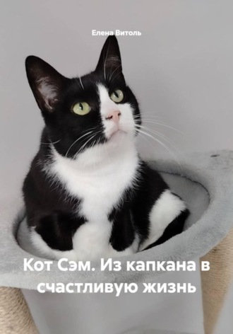 Кот Сэм. Из капкана в счастливую жизнь. 