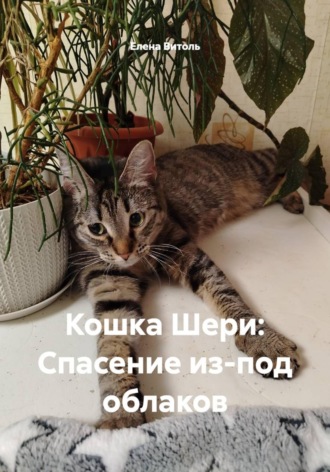 Кошка Шери: Спасение из-под облаков. 