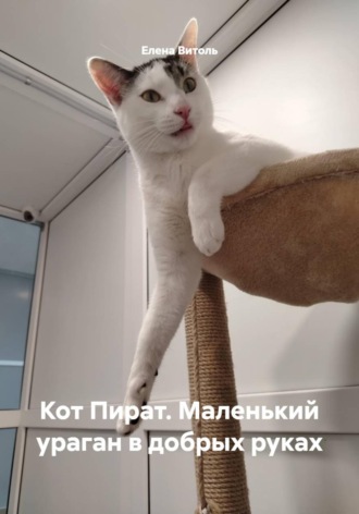 Кот Пират. Маленький ураган в добрых руках. 