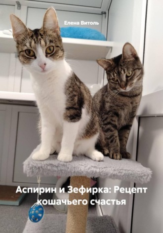 Аспирин и Зефирка: Рецепт кошачьего счастья. 