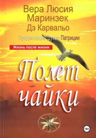 Вера Люсия Маринзек де Карвальо. Полет чайки