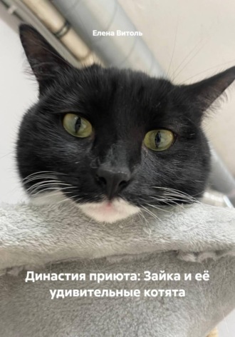 Елена Витоль. Династия приюта: Зайка и её удивительные котята