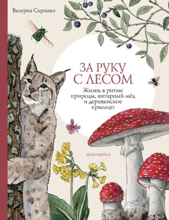 За руку с лесом. Жизнь в ритме природы, янтарный мёд и деревенское крыльцо. Валерия Скрипко