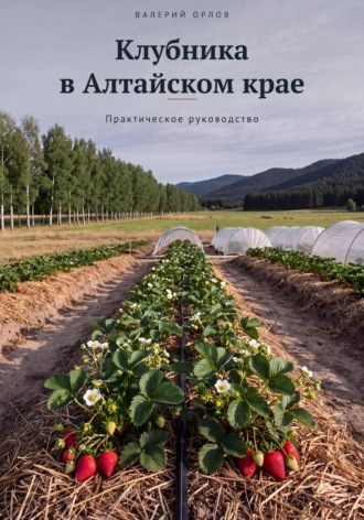 Клубника в Алтайском крае. Практическое руководство. Валерий Орлов
