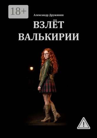 Александр Дружинин. Взлёт Валькирии