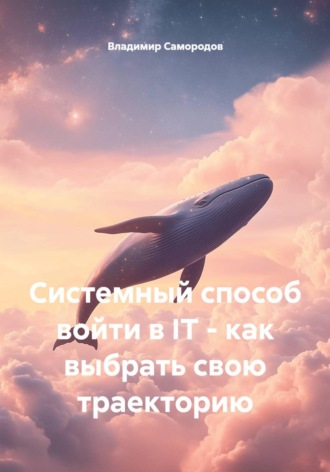 Системный способ войти в IT - как выбрать свою траекторию. Владимир Самородов