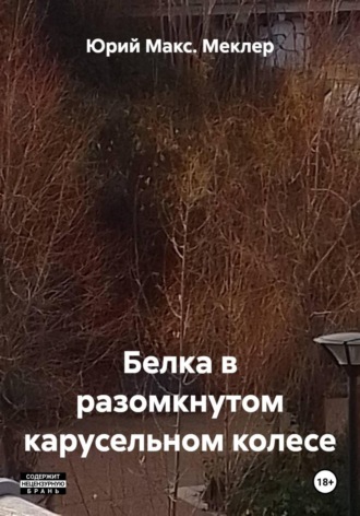 Юрий Макс. Меклер. Белка в разомкнутом карусельном колесе