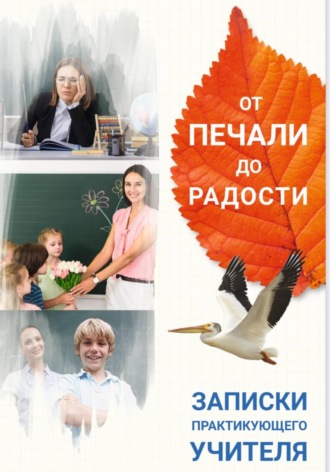 Елена Костырева   От печали до радости. Записки практикующего учителя. Елена Костырева
