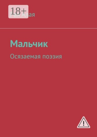 Мальчик. Осязаемая поэзия. Рая Алая