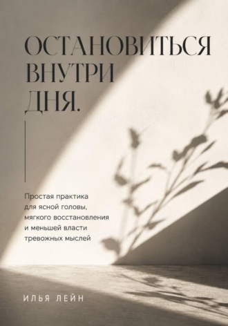 Илья Лейн. Остановиться внутри дня. Простая практика для ясной головы, мягкого восстановления и меньшей власти тревожных мыслей