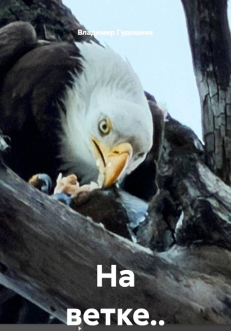 На ветке... 