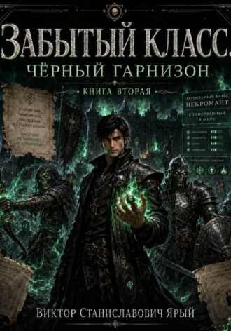 Забытый класс. Чёрный гарнизон. Виктор Ярый