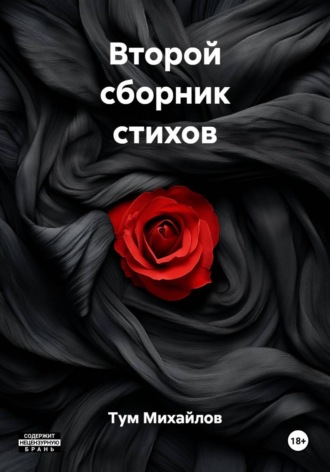 Второй сборник стихов. 