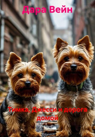 Тимка, Джесси и дорога домой. 