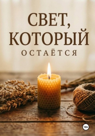 Свет, который остаётся. Дина Владимирова